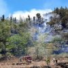 Kebakaran Lahan di Lereng Gunung Batur Bali Capai 9,8 Hektare