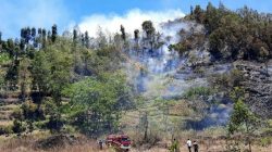 Kebakaran Lahan di Lereng Gunung Batur Bali Capai 9,8 Hektare